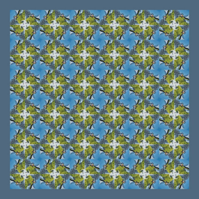 Körpermuster